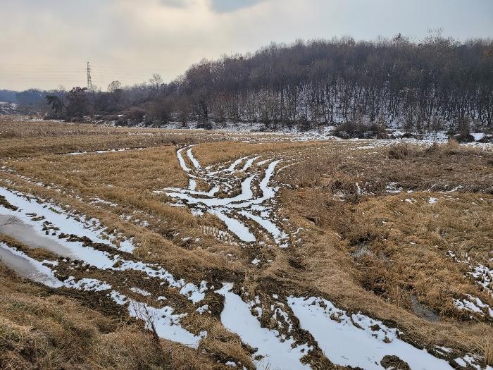 충청남도 당진시 송악읍 가학리 120 답 경매 사진 3