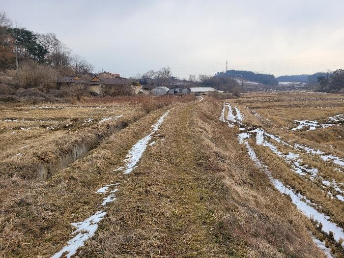 충청남도 당진시 송악읍 가학리 120 답 경매 사진 4