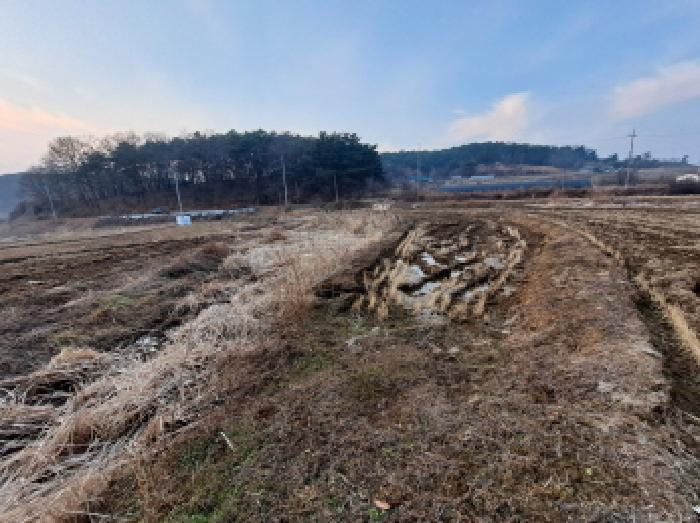 충청남도 당진시 송악읍 석포리 183 답 경매 사진 9