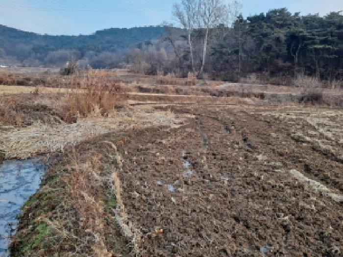 충청남도 당진시 송악읍 석포리 321-41 답 경매 사진 4
