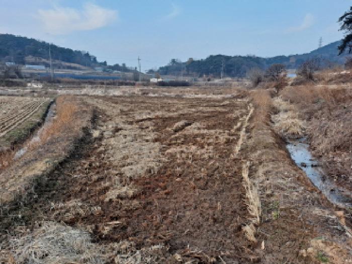 충청남도 당진시 송악읍 석포리 384 답 경매 사진 7