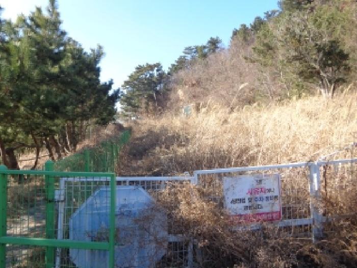 충청남도 태안군 근흥면 정죽리 2262-5 잡종지 경매 사진 2