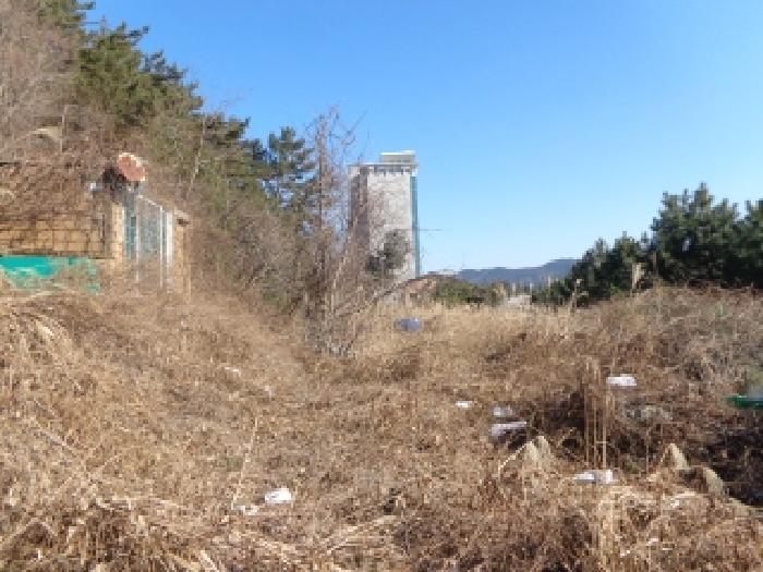 충청남도 태안군 근흥면 정죽리 2262-5 잡종지 경매 사진 3