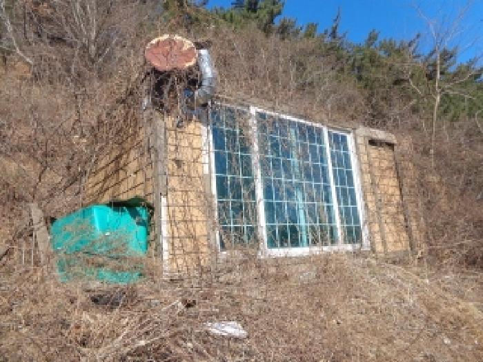 충청남도 태안군 근흥면 정죽리 2262-5 잡종지 경매 사진 4