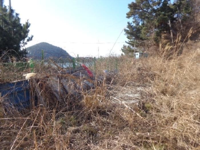 충청남도 태안군 근흥면 정죽리 2262-5 잡종지 경매 사진 5