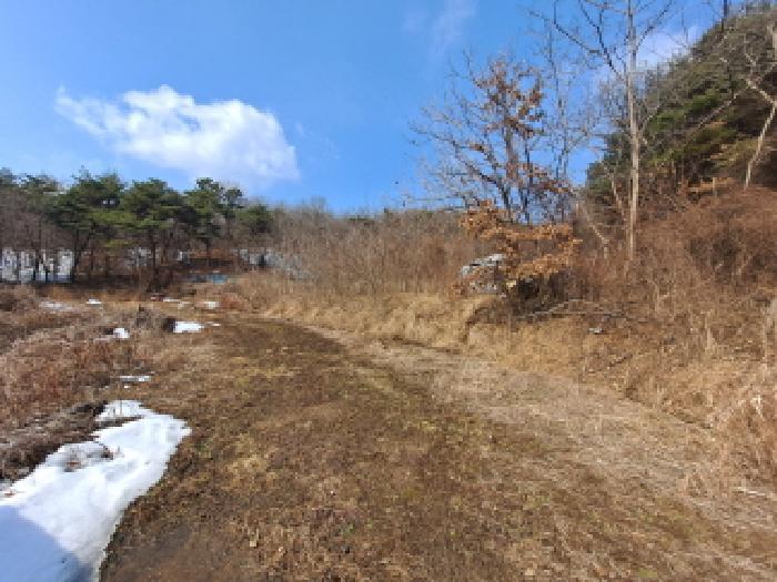 충청남도 당진시 사기소동 257 답 경매 사진 3