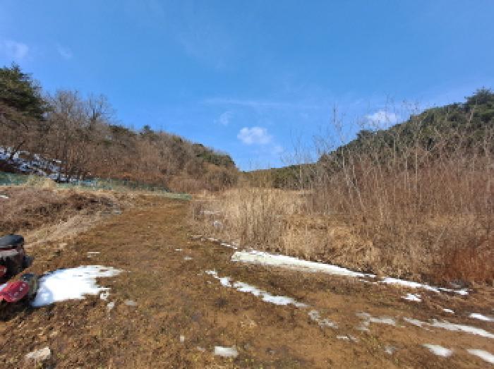 충청남도 당진시 사기소동 257 답 경매 사진 5