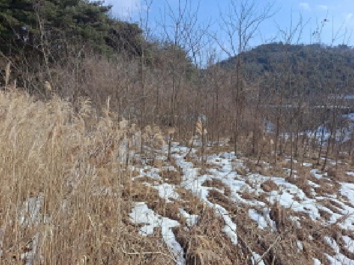 충청남도 당진시 사기소동 257 답 경매 사진 6