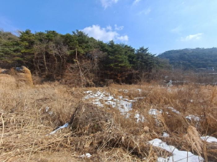 충청남도 당진시 사기소동 257 답 경매 사진 8