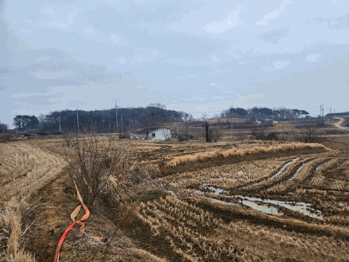 충청남도 당진시 송악읍 중흥리 146 답 경매 사진 2