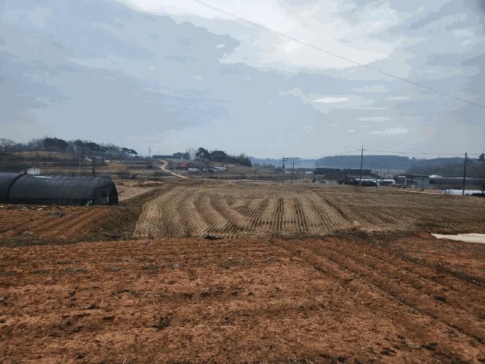 충청남도 당진시 송악읍 중흥리 146 답 경매 사진 3