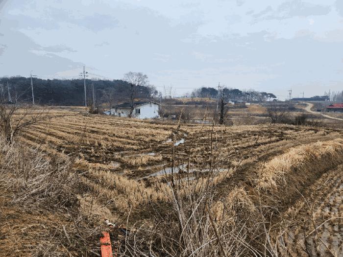 충청남도 당진시 송악읍 중흥리 146 답 경매 사진 4