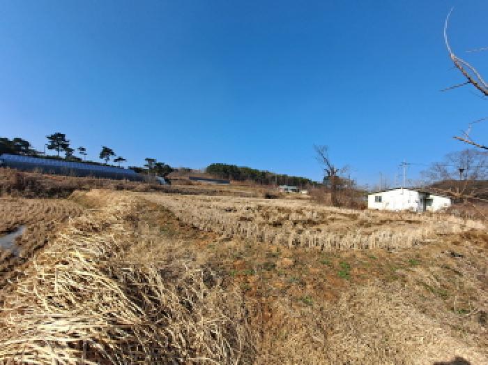 충청남도 당진시 송악읍 중흥리 146 답 경매 사진 9