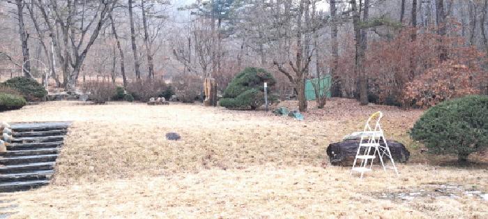 경기도 고양시 덕양구 벽제동 251-1 공장 경매 사진 34