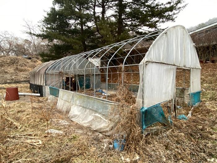 경기도 고양시 덕양구 벽제동 251-1 공장 경매 사진 4