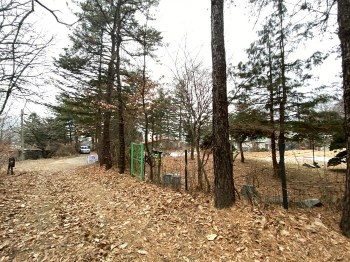 경기도 고양시 덕양구 벽제동 251-1 공장 경매 사진 5