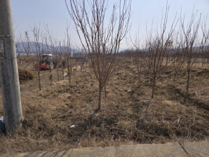 경상북도 영천시 답