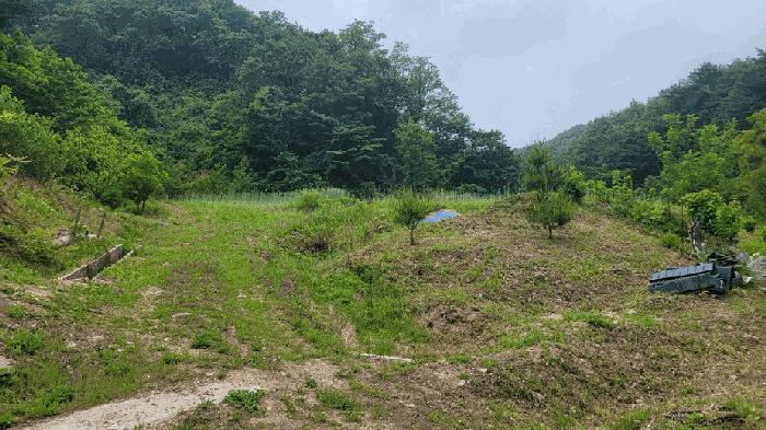 강원특별자치도 양양군 양양읍 화일리 799 전 경매 사진 4