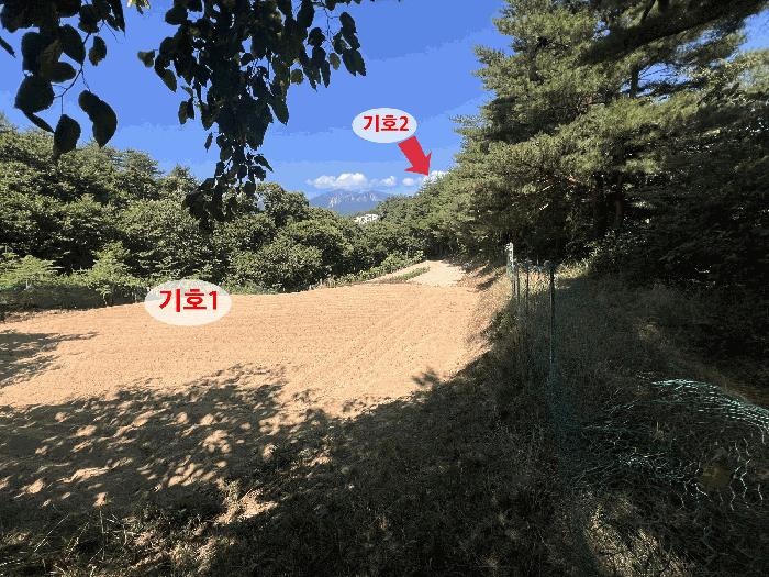 강원특별자치도 속초시 노학동 산80-7 임야 경매 사진 1