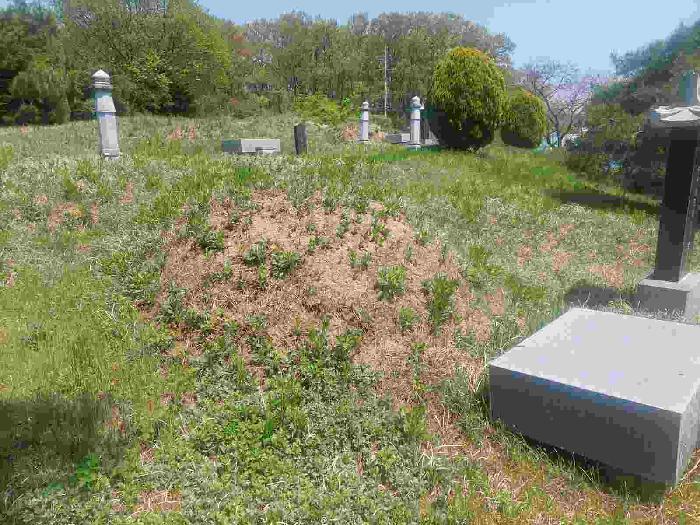 충청남도 아산시 신창면 가덕리 526-2 전 경매 사진 18