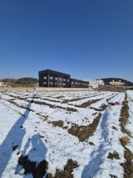 광주광역시 광산구 신촌동 697-6 답 경매 사진 2