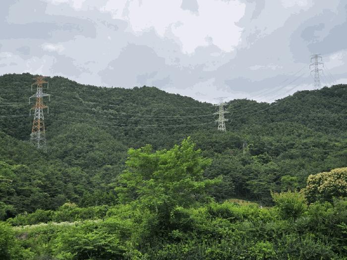 전라남도 담양군 고서면 고읍리 산45-1 임야 경매 사진 3