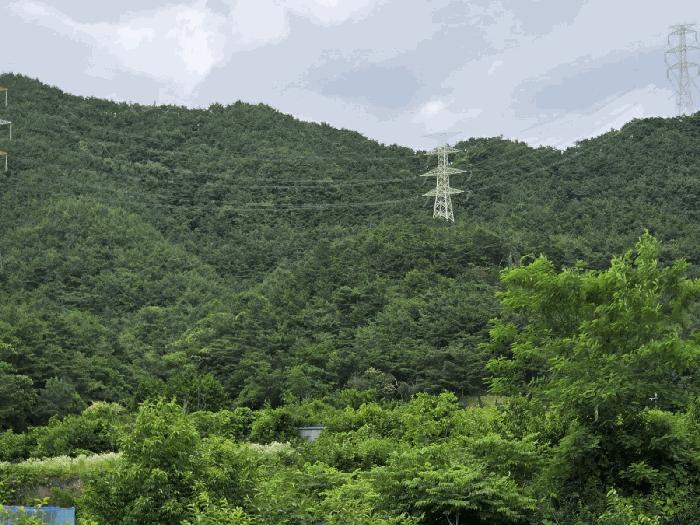 전라남도 담양군 고서면 고읍리 산45-1 임야 경매 사진 4