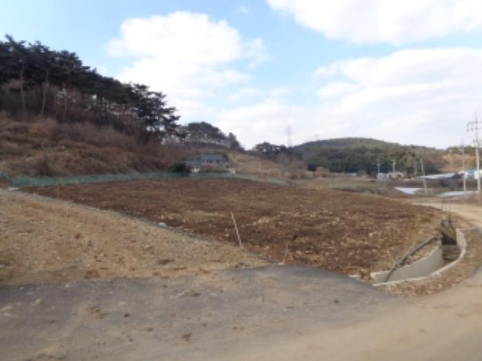 충청남도 서산시 팔봉면 흑석리 168-6 전 경매 사진 6