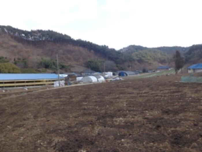 충청남도 서산시 팔봉면 흑석리 168-6 전 경매 사진 7