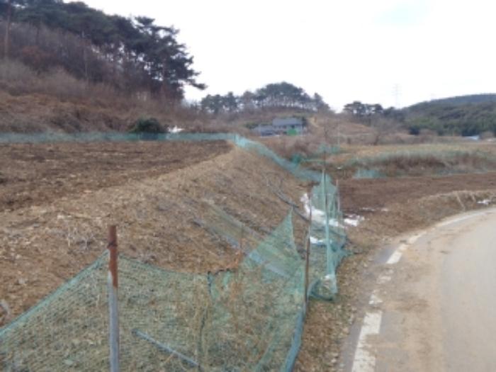 충청남도 서산시 팔봉면 흑석리 168-6 전 경매 사진 8