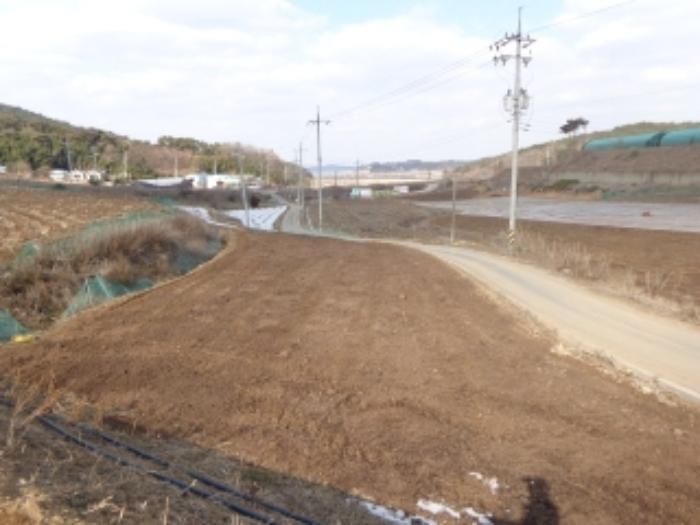 충청남도 서산시 팔봉면 흑석리 168-6 전 경매 사진 9