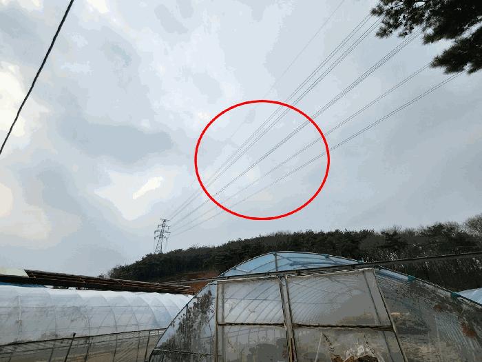 충청남도 당진시 임야