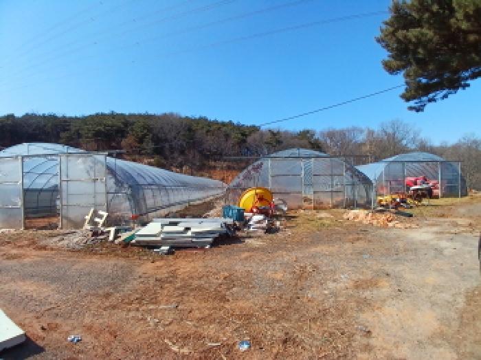 충청남도 당진시 석문면 삼봉리 산214-30 임야 경매 사진 14