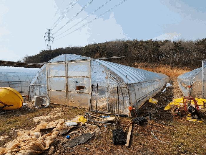 충청남도 당진시 석문면 삼봉리 산214-30 임야 경매 사진 2