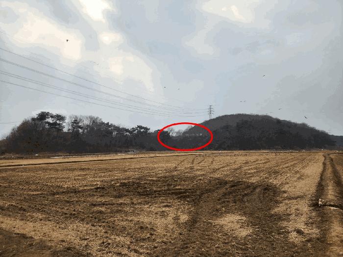 충청남도 당진시 석문면 삼봉리 산214-30 임야 경매 사진 4