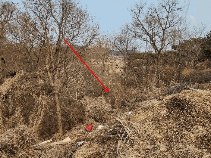 충청남도 당진시 석문면 삼봉리 산214-30 임야 경매 사진 6