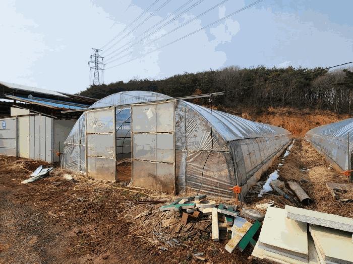 충청남도 당진시 석문면 삼봉리 산214-30 임야 경매 사진 7