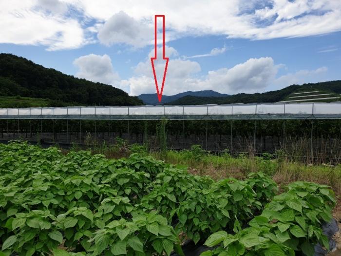 경상북도 김천시 전