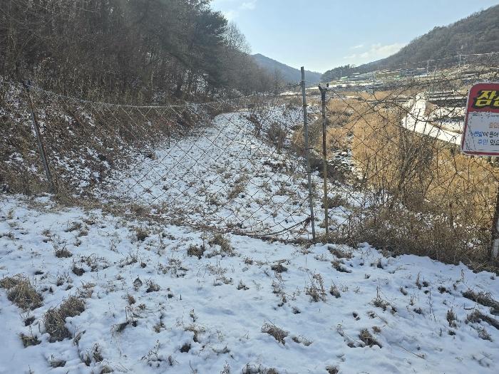 경상북도 김천시 조마면 신곡리 170 답 경매 사진 1