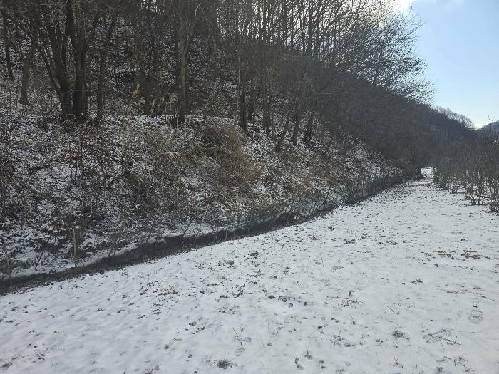 경상북도 김천시 조마면 신곡리 170 답 경매 사진 11