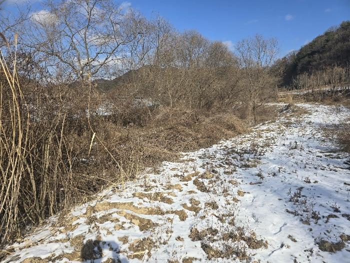 경상북도 김천시 조마면 신곡리 170 답 경매 사진 2