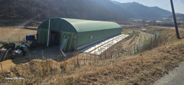 경상북도 김천시 조마면 신곡리 170 답 경매 사진 22
