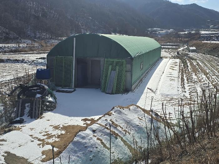 경상북도 김천시 조마면 신곡리 170 답 경매 사진 6
