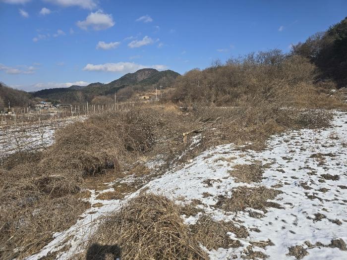 경상북도 김천시 조마면 신곡리 170 답 경매 사진 7