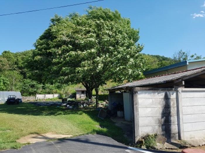 대구광역시 군위군 소보면 내의리 1242-13 주택 경매 사진 21