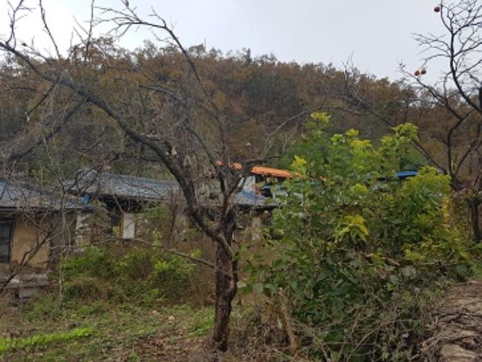 대구광역시 군위군 우보면 달산리 132 대지 경매 사진 12