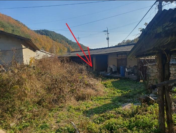 대구광역시 군위군 우보면 달산리 132 대지 경매 사진 5