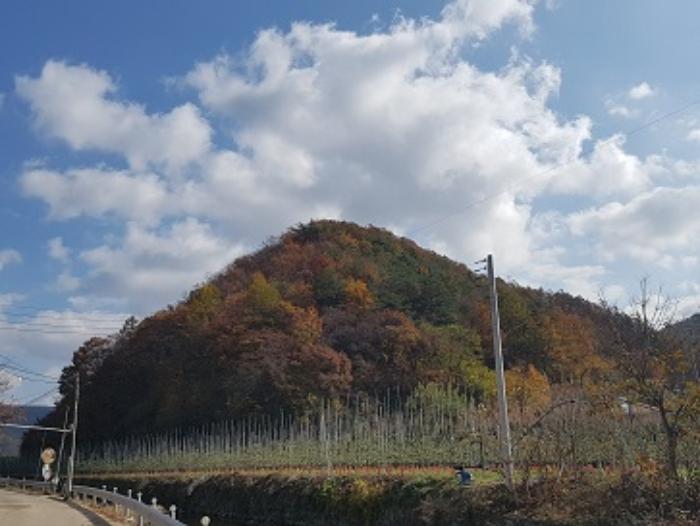 경상북도 청송군 현동면 눌인리 산103-1 임야 경매 사진 1