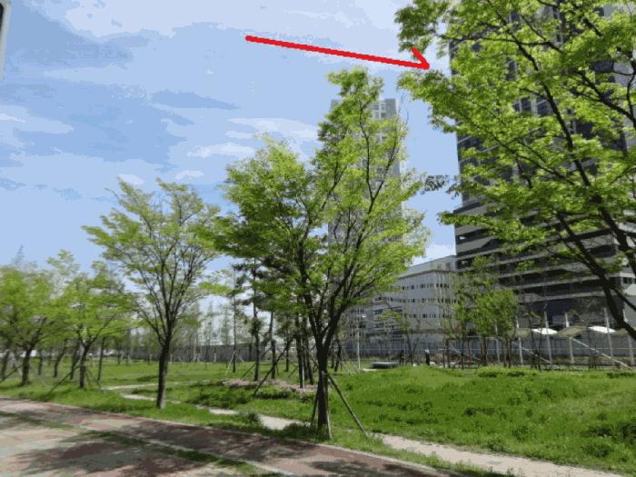 경기도 안산시 단원구 성곡동 845-5 마리나아일랜드 1층105호 근린상가 경매 사진 32