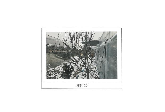 경상북도 김천시 대항면 대룡리 379 답 경매 사진 16